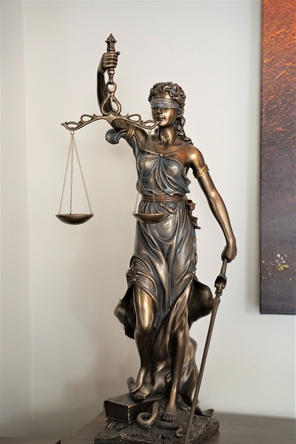 lawyer-attorney-law-judge-640x480-95208649.jpeg